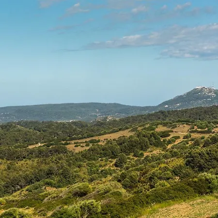 ヴィラ Finca Son Pere